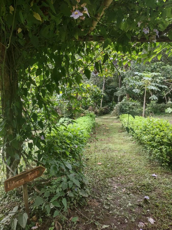 Finca Mystica Merida Bagian luar foto