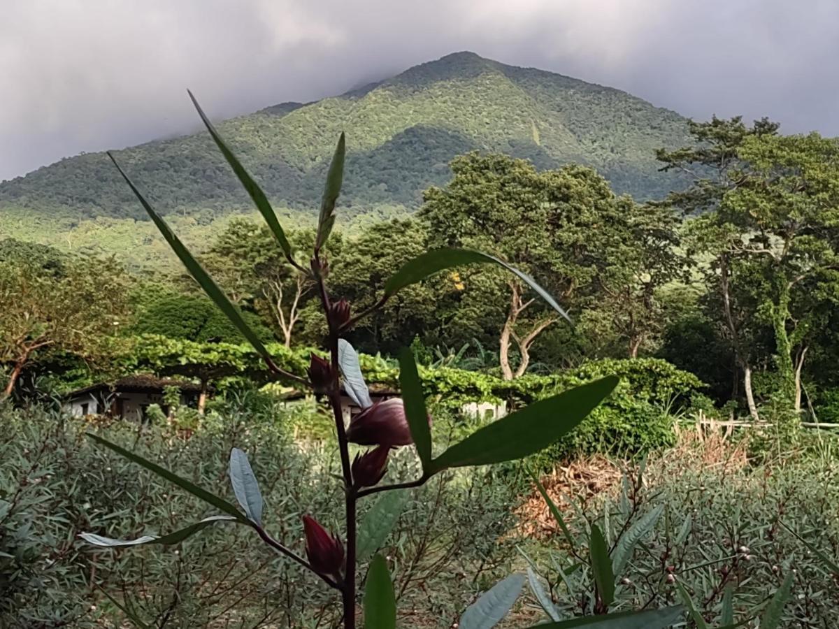 Finca Mystica Merida Bagian luar foto