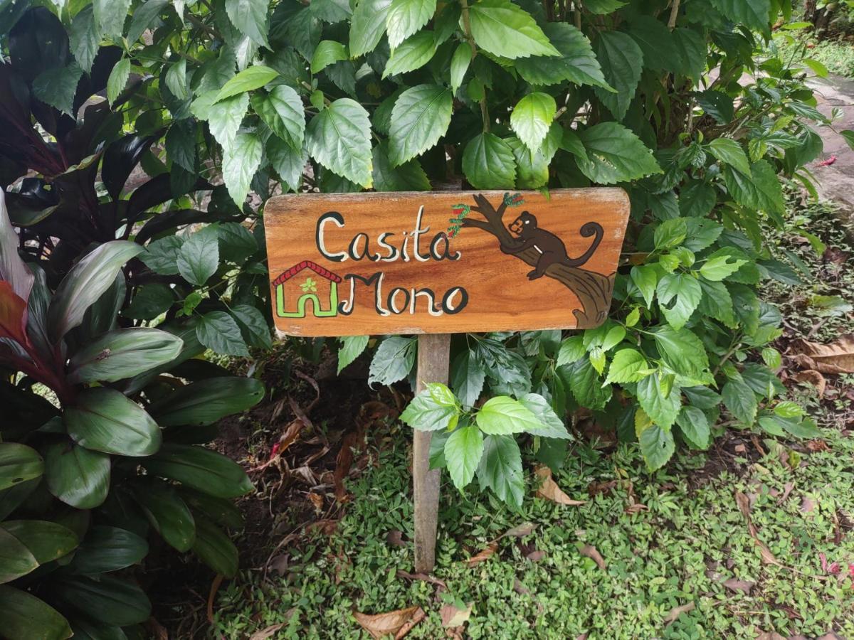 Finca Mystica Merida Bagian luar foto