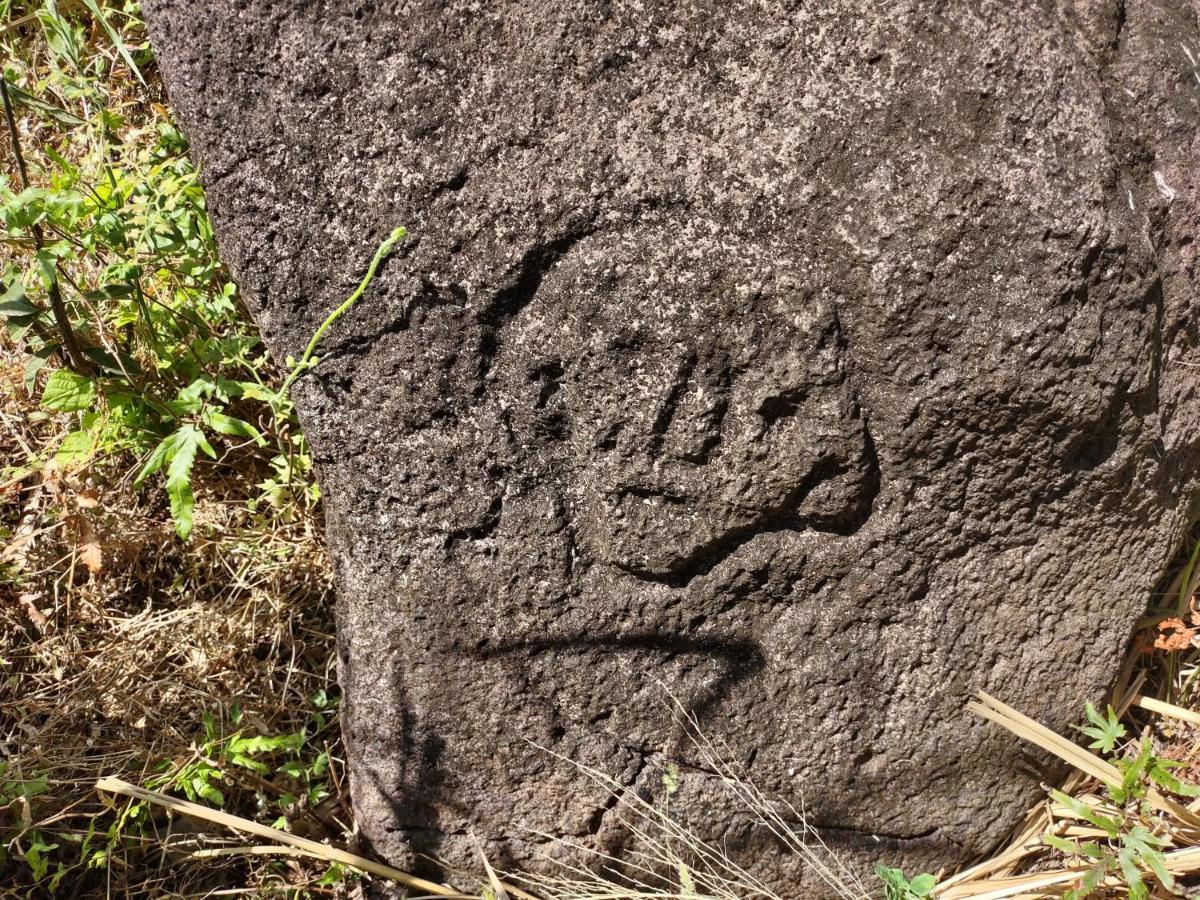 Finca Mystica Merida Bagian luar foto