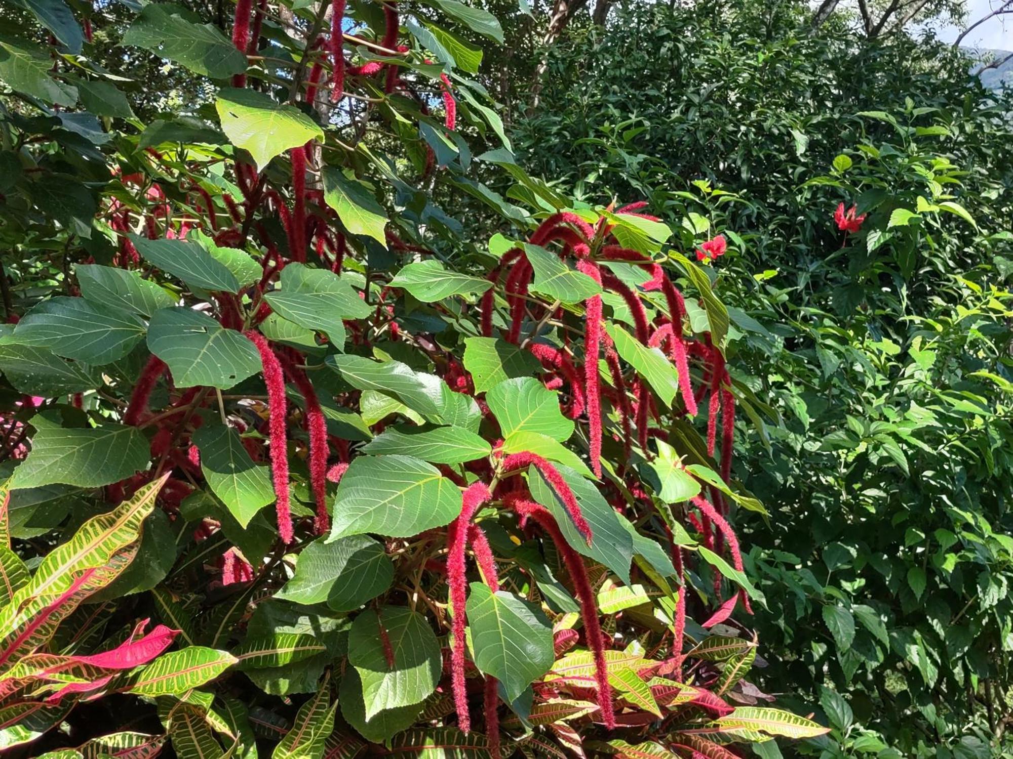 Finca Mystica Merida Bagian luar foto
