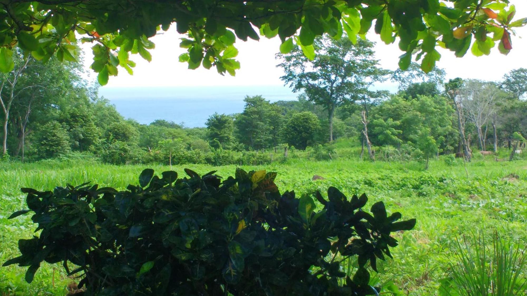 Finca Mystica Merida Ruang foto