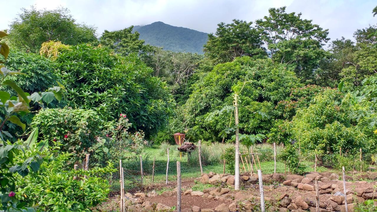 Finca Mystica Merida Bagian luar foto