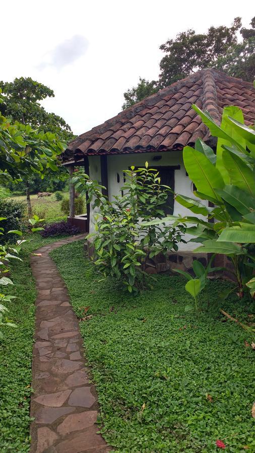 Finca Mystica Merida Bagian luar foto