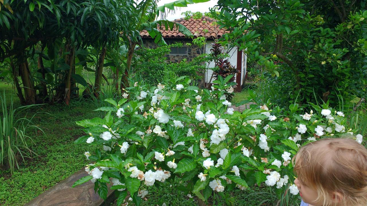 Finca Mystica Merida Bagian luar foto