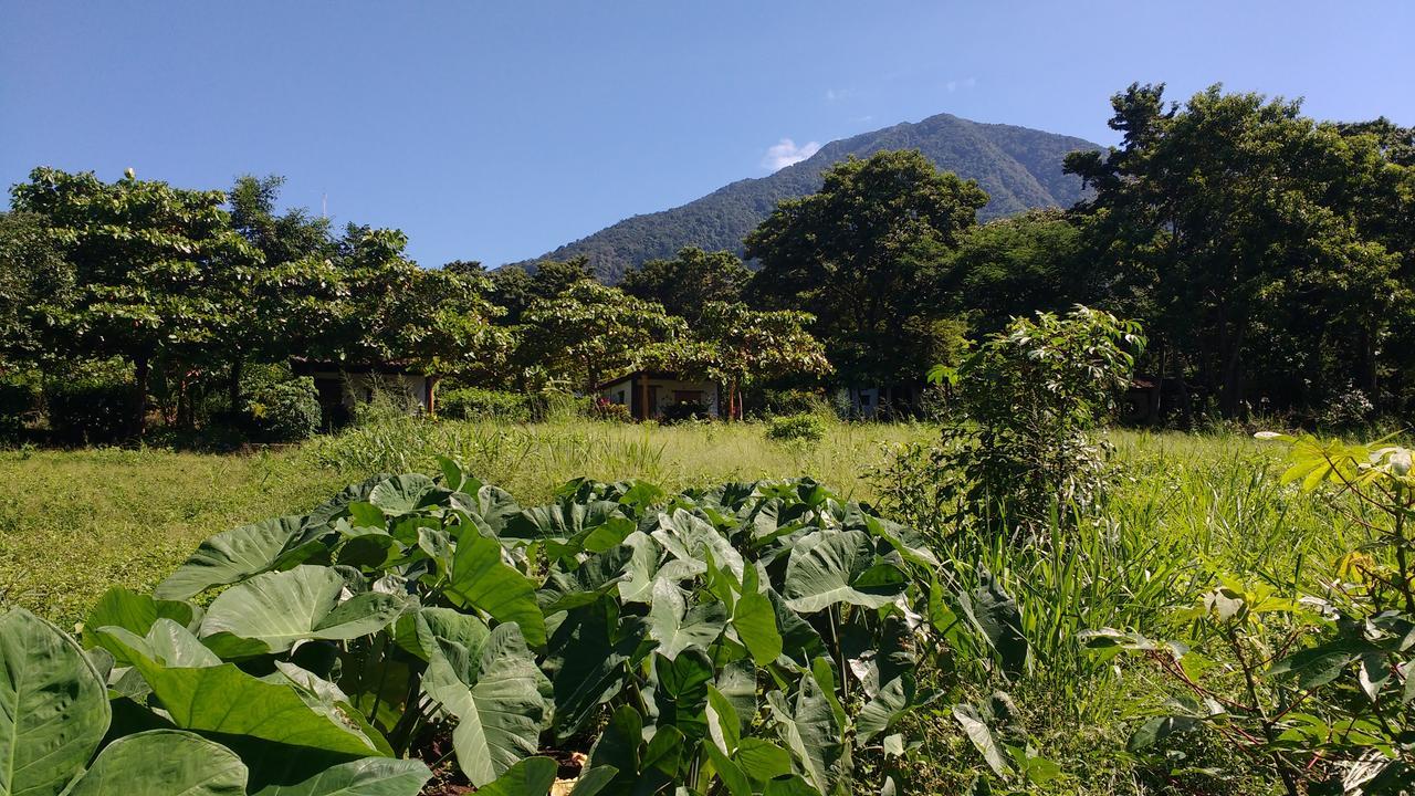 Finca Mystica Merida Bagian luar foto